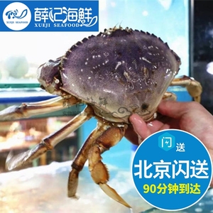 1只1.8-2斤 珍宝蟹鲜活生猛海鲜 进口 水产 太子蟹 黄金蟹