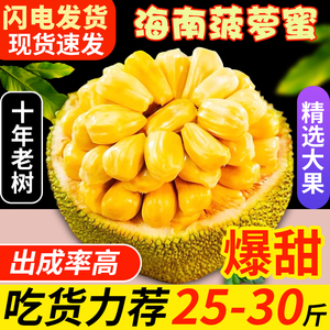 【需要催熟 方可食用】海南三亚黄肉干苞菠萝蜜10-50斤新鲜水果