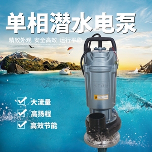 正品 浙江大福 潜水泵抽水泵水老鼠排灌清水泵 大流量潜水泵