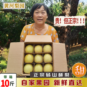 安徽砀山梨酥梨砀山酥梨王新鲜水果汤山梨礼盒装梨子特大10斤包邮