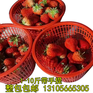圆形草莓篮子1-10斤手提篮塑料水果筐蓝莓篮樱桃篮蓝莓采摘篮