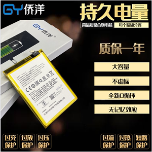 侨洋电池适用VI X30 X30Pro X50 X50Pro X60 Pro+ NEX双屏 NEX3