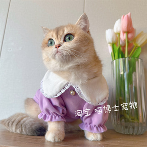 小可爱娃娃领春秋款狗子博美玛尔济斯衣服宠物猫咪甜美娃娃衫上衣