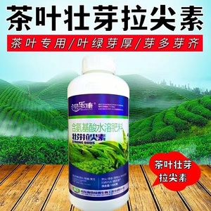 茶叶催芽剂拉尖增厚素含氨基酸水溶肥料茶叶专用叶面肥芽多呀粗