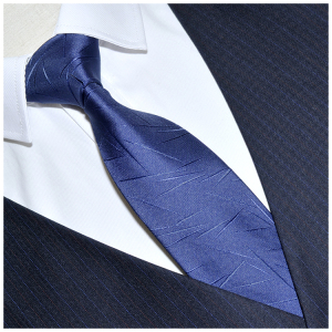 麻雀街商务职业休闲潮流简约公司职员应聘韩版正装男士西装领带