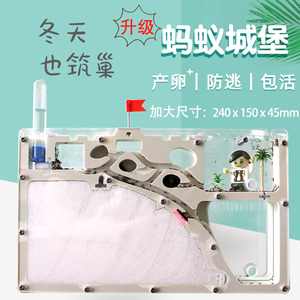 蚂蚁部落蚁村 蚂蚁部落蚁村品牌 价格 阿里巴巴 蚂蚁部落蚁村 蚂蚁部落蚁村品牌 价格 阿里巴巴