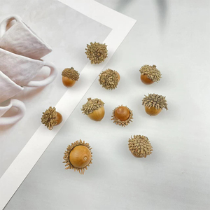 天然橡果麻栎果实橡子果爆炸头橡果 手工DIY装饰材料植物手作标本