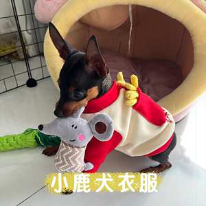 迷你杜宾犬专用衣服茶杯小鹿犬吉娃娃可牵引狗狗秋款加厚保暖卫衣