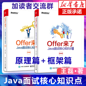 原理篇+框架篇 共2本 Offer来了 Java面试核心知识点精讲 王磊 Java程序员面试宝典书籍 JVM原理多线程数据结构和算法设计模式书