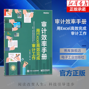 审计效率手册-用Excel高效完成审计工作 审计效率工具 详解如何利用excel组合工具审计效率 微软Office书籍