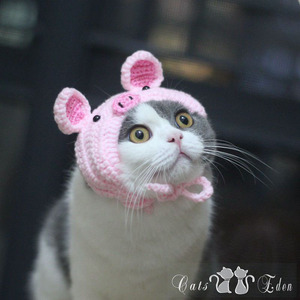 宠物猫咪粉色小猪帽子头套头鉓口水巾围兜手工佩琪搞怪拍照新品