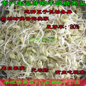 特产山西右玉黑豆羊眼睛黑豆农家自产黑豆花脸黑豆豆芽800g散装