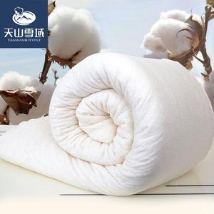天山雪域新疆有网棉被长绒棉被正品千层棉胎婴儿特级棉花被垫被芯