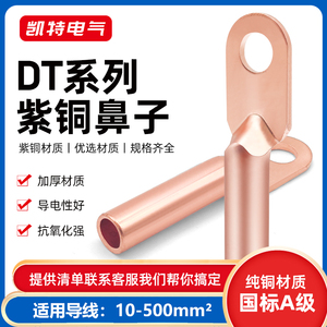 国标DT10-500平方A级紫铜16/25/35/70闭口接线端子电缆线耳鼻头