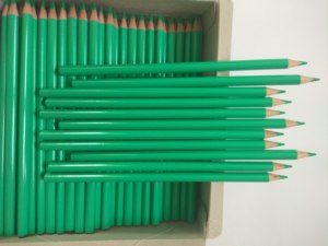 48色铅笔 秘密花园涂色画画彩铅 安全画笔 环保铅笔