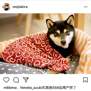 【日本代购】柴犬Akira同款黑柴印两用唐草小被子 靠枕 三色可选