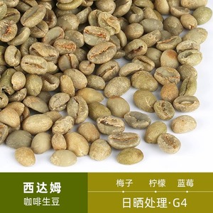 绿之素新产季西达姆日晒咖啡生豆原料G4埃塞西达摩Sidamo拼配基豆