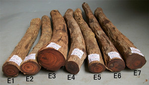 红酸枝对眼料 老挝大红酸枝随形雕刻料弹弓料红木小料木料珠子料