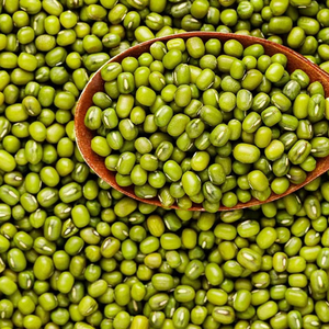 绿豆2023年新鲜新货农家小明绿豆绿小豆绿豆汤熬粥原料1斤2斤5斤