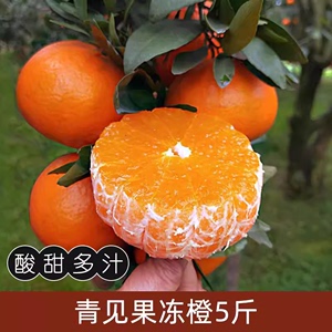 四川青见果冻橙新鲜孕妇水果当季柑橘桔子酸甜5斤