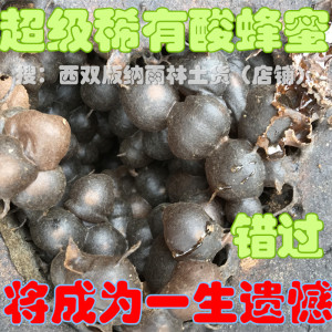 云南深山野生无刺蜂蜜地酸蜂树酸蜂西双版纳500g新款促销纯蜂蜜