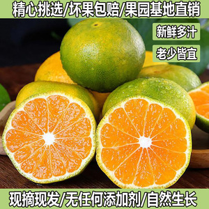 湖北宜昌蜜桔果园现摘橘子酸甜多汁孕妇开胃水果桔子5斤10斤包邮