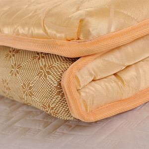 淘美冷暖床垫 学生单人双人椰棕双面两用床垫 5CQM厚可折叠
