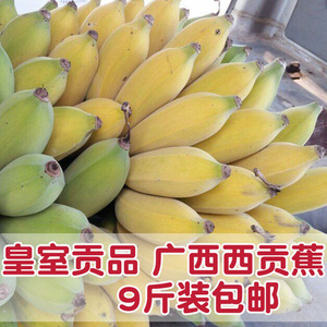 广西芭蕉苹果蕉西贡蕉新鲜水果9斤包邮粉蕉香蕉小米蕉当季带箱装