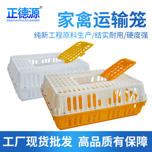 鸡运输笼 塑料运输鸡笼  鸡用周转箱 鸡鸭鹅兔用运输笼 鸡筐箱笼