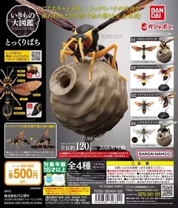 正版万代蜜蜂拼装模型摆件生物大图鉴大黄蜂扭蛋  现货