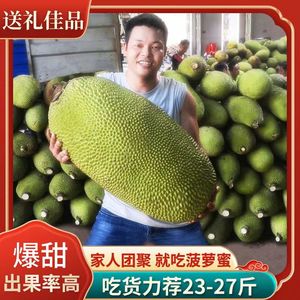 海南三亚菠萝蜜现摘当季新鲜水果一级黄肉干苞一整个10-40斤包邮