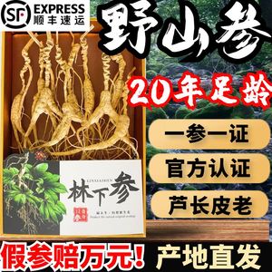 人参长白山野山参林下参籽参生晒干参20年礼盒煲汤泡酒老山参人叁