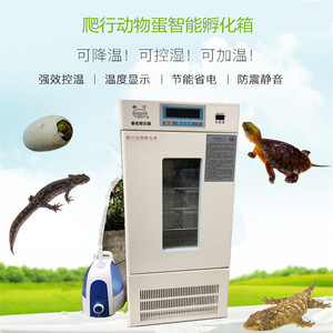 《珠江牌》FHX-250爬行动物孵化箱  FHX-150 FHX-100乌龟孵化箱