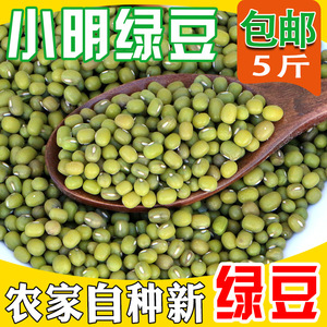 小明绿豆精选 新鲜绿豆 农家自种绿豆汤绿豆糕原料 杂粮5斤2500克