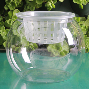 新疆包邮2个装透明球型花瓶 金鱼缸水培绿植塑料容器桌面简约时尚