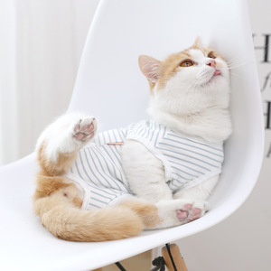 猫咪绝育服断奶服衣服防掉毛布偶猫加菲猫银渐层英短金吉拉用品