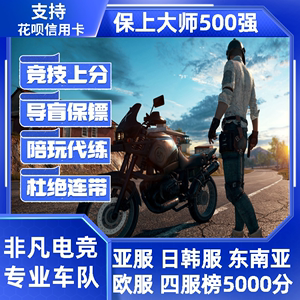 绝地求生PUBG竞技排位代练陪玩导盲保镖上分冲大师500强专业车队