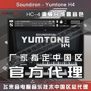 正版Soundiron Yumtone H4雅马哈FM调频合成器Electone HC-4音源
