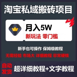 2024淘私域搬砖课程，利用信息差月入5W，网络赚钱好项目