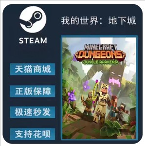 《我的世界:地下城》，Steam正版。可改账号（密码，邮箱，