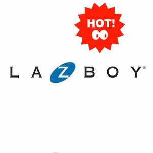 LAZBOY 乐至宝沙发 天鹅湖178 有风的地方 170