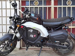 摩兽新国标电动助力车电瓶自行车长续航锂电池跨骑摩托车成人电车
