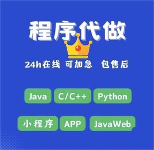 Java程序代编Python编程编写C语言开发c++代写vb