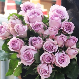 玫瑰花海洋之歌20支包邮戴安娜香槟白玫瑰红玫瑰鲜花花束
