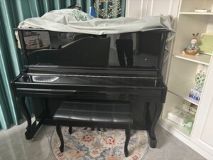 钢琴。德国品牌。路易克斯。几乎全新。全新买来15000。小孩