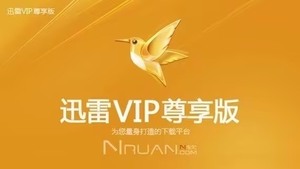 xunlei迅雷超级白金会员vip 1天24小时卡 立马用！