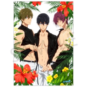 free！ Summer 京阿尼 海报 腹肌海报 三人海报