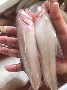 豆腐鱼，鳘鱼肉，海鳗鱼，红立鱼，中黄花鱼，薄壳米，蓝尾扒皮鱼