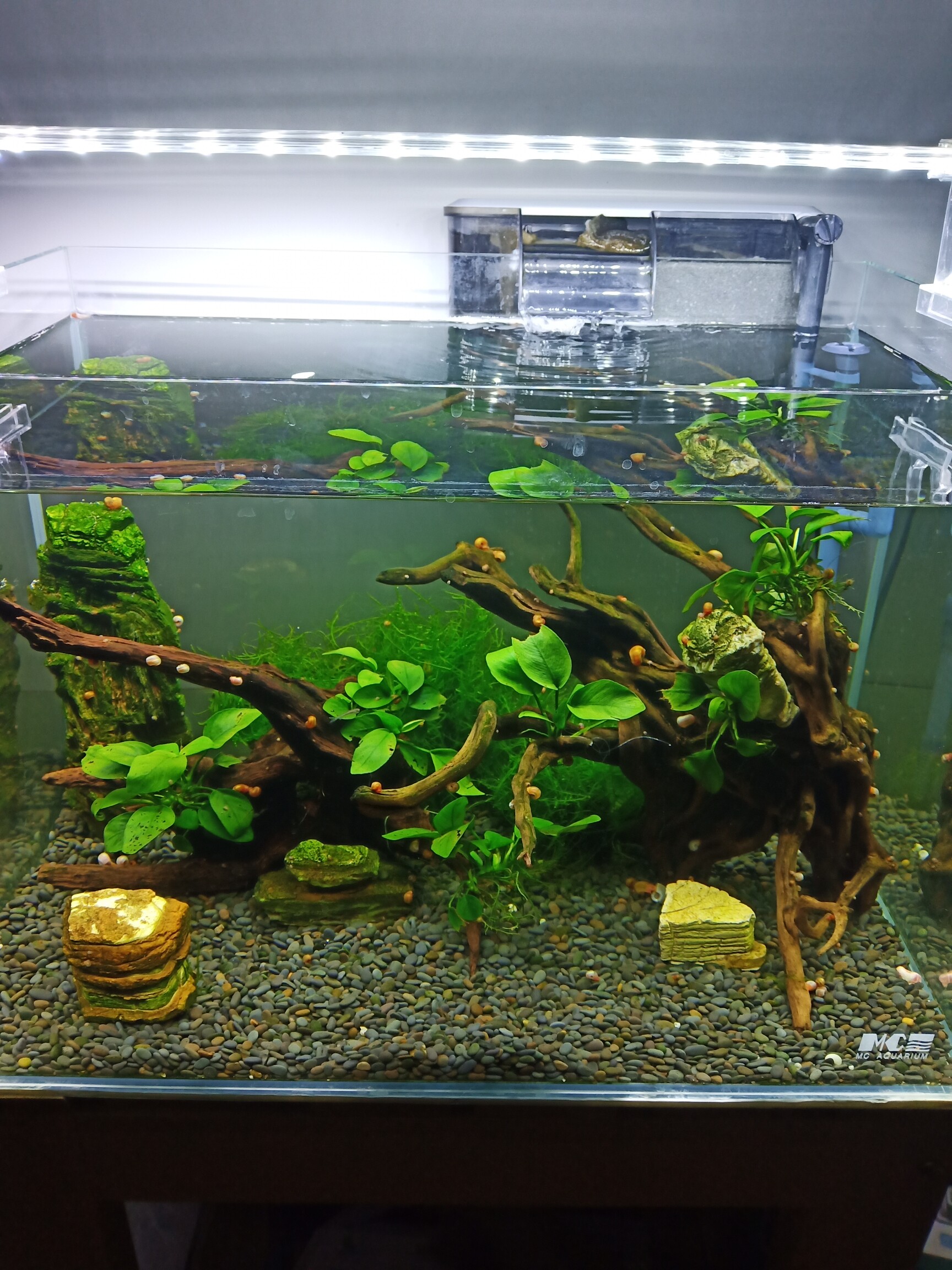 顶级鱼缸造景 头条搜索