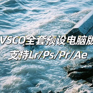 VSCO Film全套预设滤镜 电脑版 支持Lr/Ps/Ae